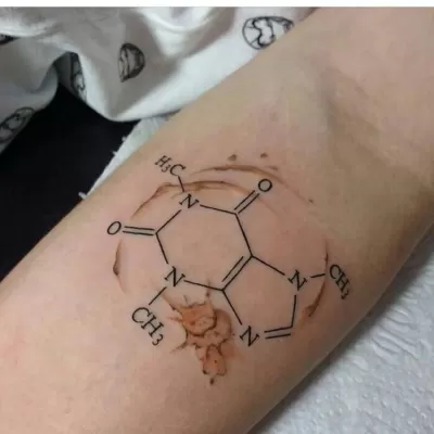 Liliana Angulo - Fundos Patagónicos